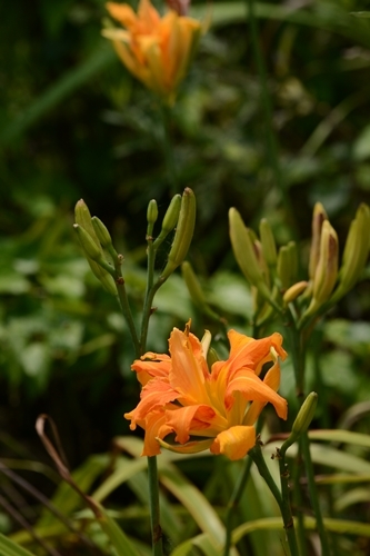 a0240403_14150010.jpg