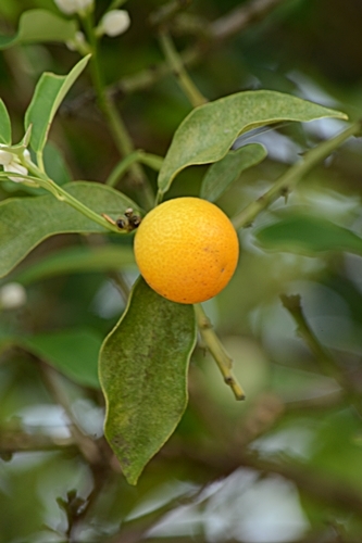 a0240403_14170319.jpg