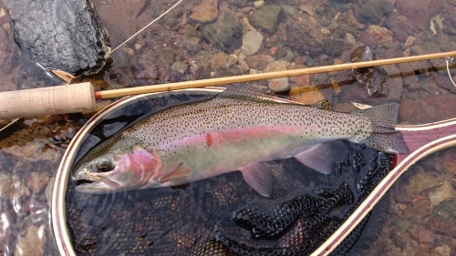 b0172805_20414037.jpg