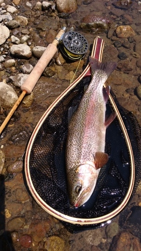 b0172805_20432858.jpg