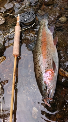 b0172805_20454244.jpg