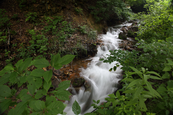 a0357206_20550489.jpg