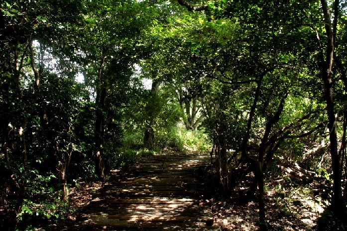 d0140806_9143921.jpg