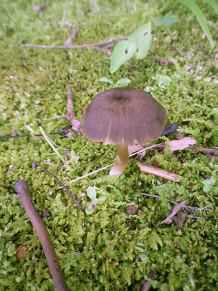 a0106409_12175540.jpg