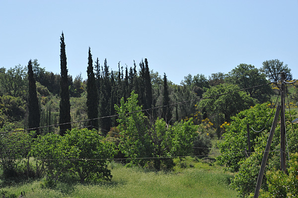 a0278809_15270530.jpg