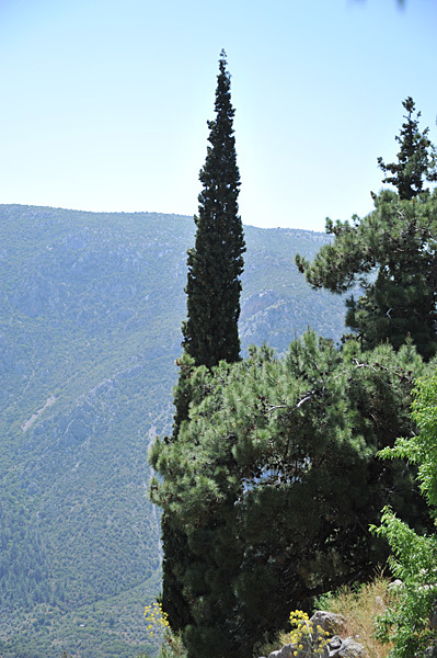a0278809_15361218.jpg