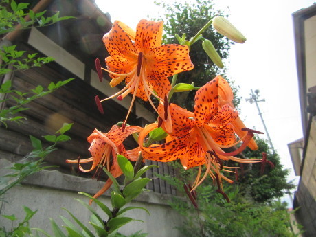 f0231709_09392991.jpg