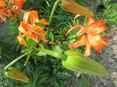 f0231709_09421794.jpg
