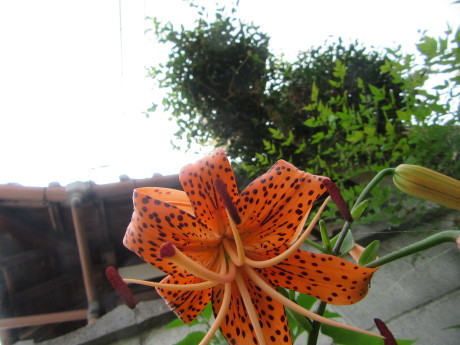 f0231709_09430156.jpg