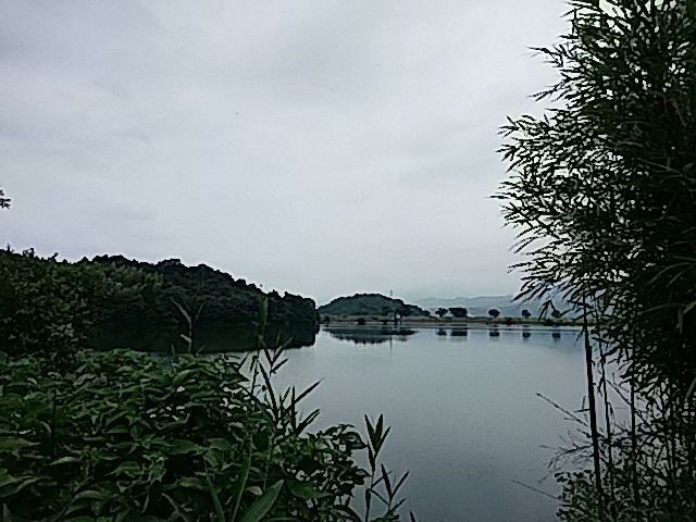 f0231709_10302792.jpg