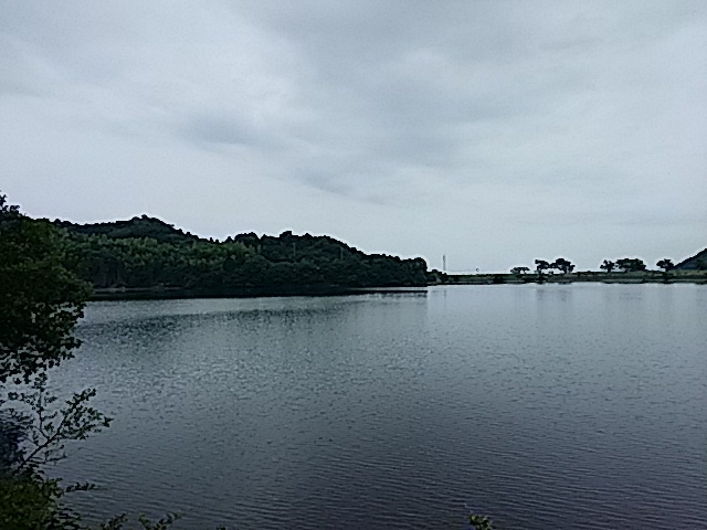 f0231709_10391770.jpg