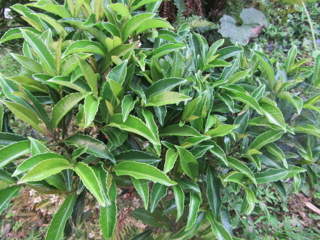 f0231709_16365031.jpg