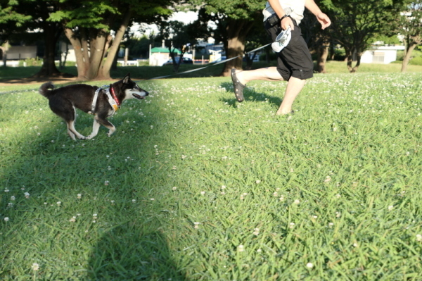 f0369014_12020024.jpg