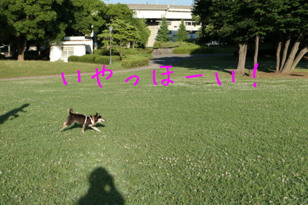 f0369014_13423242.jpg