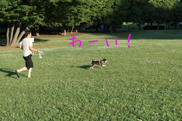 f0369014_13462833.jpg