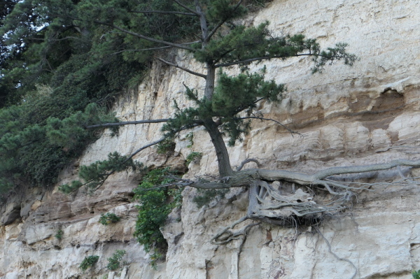 f0369014_13532514.jpg