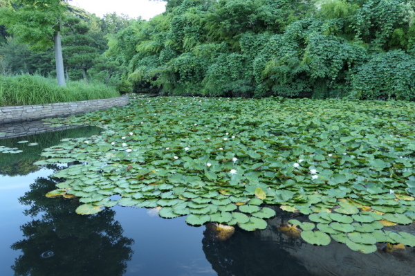 f0369014_13544254.jpg
