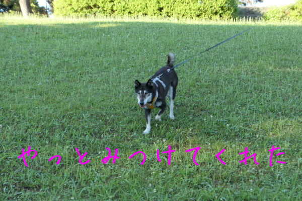 f0369014_14025082.jpg