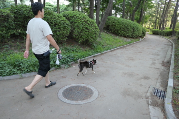 f0369014_14193599.jpg