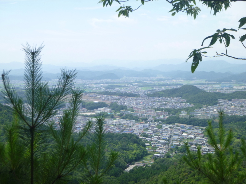 d0170615_16142046.jpg