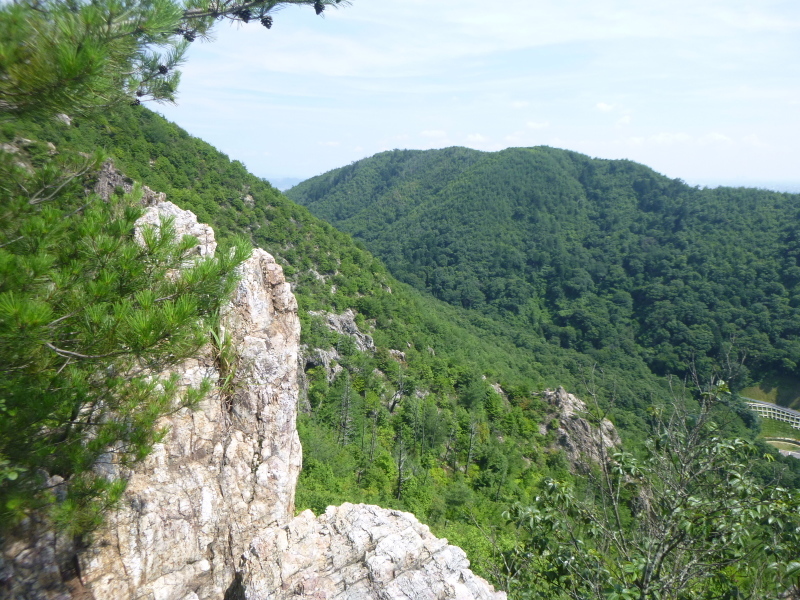 d0170615_16150721.jpg