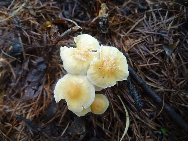 f0360815_15220167.jpg