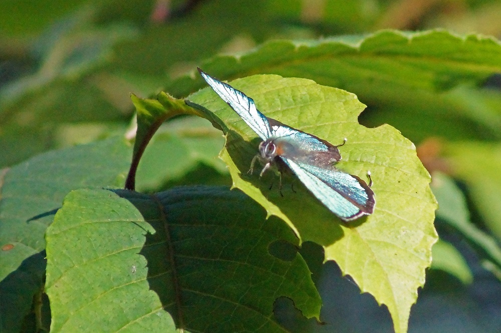 c0042418_08471370.jpg