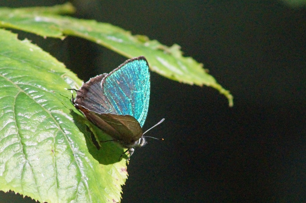 c0042418_08472390.jpg