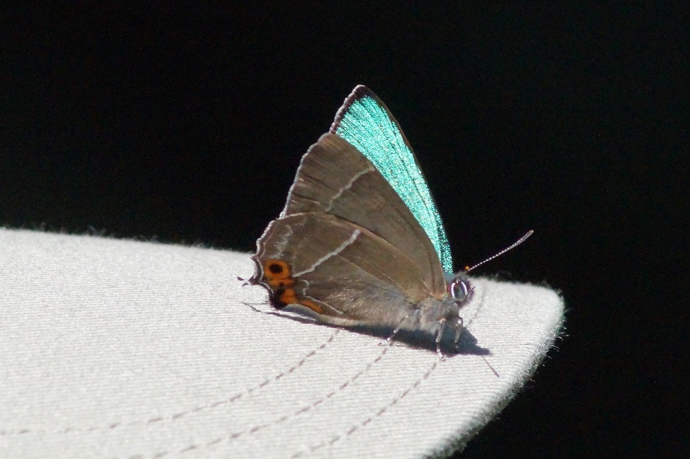 c0042418_08473383.jpg