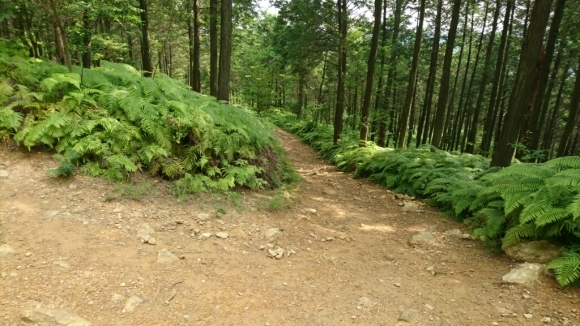 f0124518_11260239.jpg