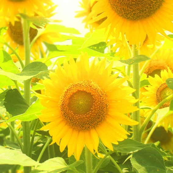 a0329820_11161500.jpg