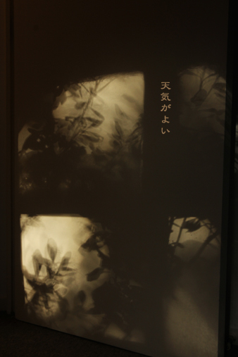 d0042827_20561941.jpg