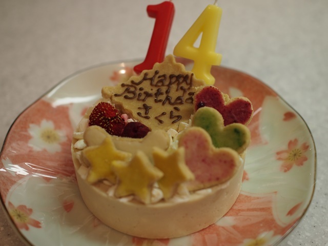 c0117831_16285973.jpg
