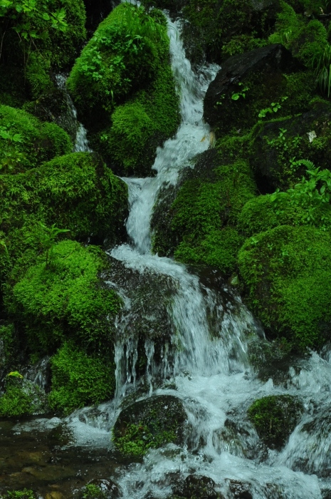 c0172234_23015681.jpg