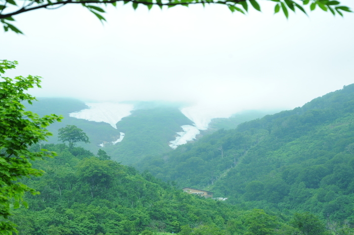 c0172234_23021958.jpg