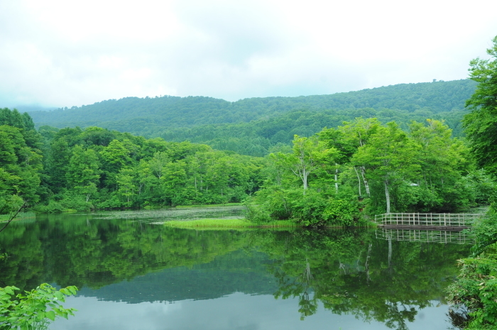 c0172234_23022436.jpg