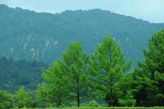 c0172234_23453317.jpg