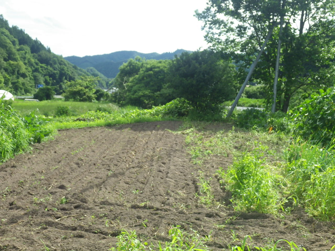 c0300035_16010585.jpg