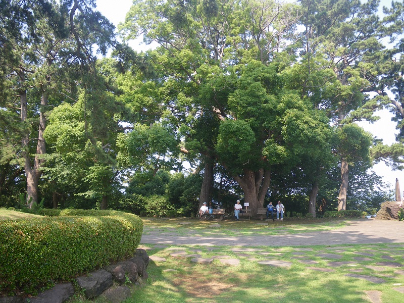 c0033636_938488.jpg