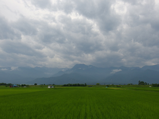 a0014840_20392976.jpg
