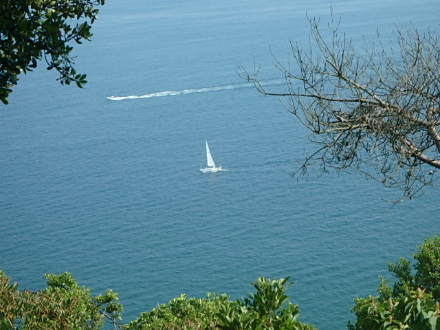 f0334143_21124735.jpg