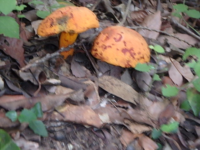 f0334143_21201545.jpg
