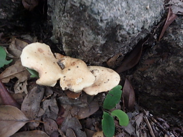f0334143_21205726.jpg