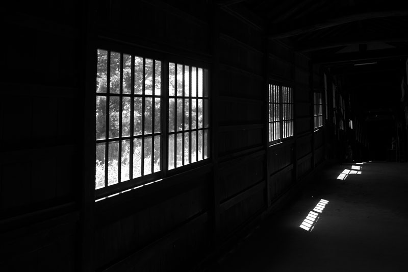 d0342652_1542141.jpg