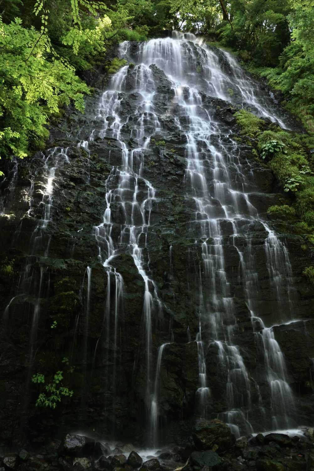 d0286954_17431947.jpg