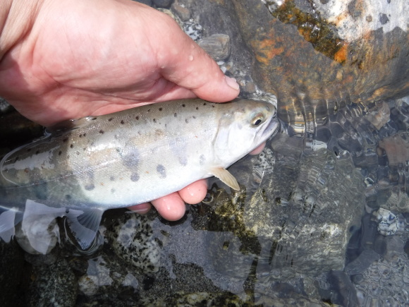 c0249658_20385507.jpg