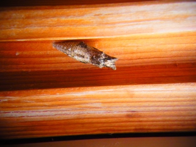 b0238760_01223706.jpg
