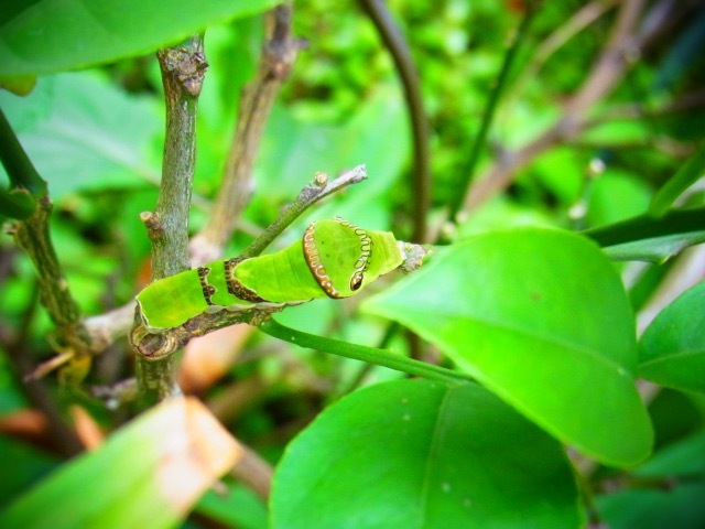 b0238760_01231565.jpg
