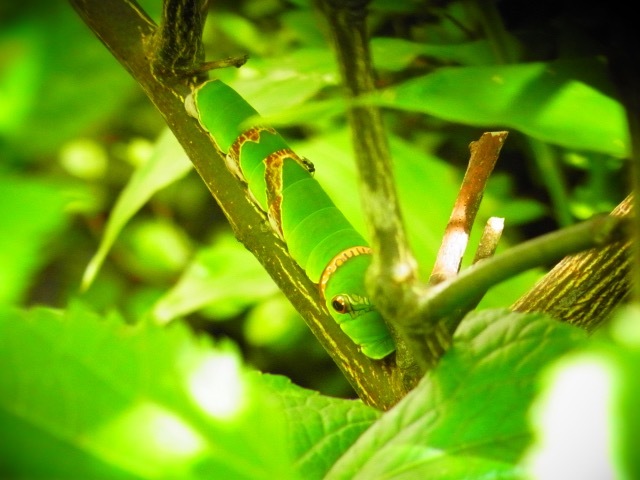b0238760_01232191.jpg