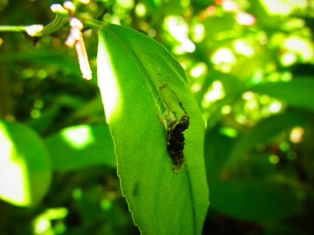 b0238760_01265855.jpg
